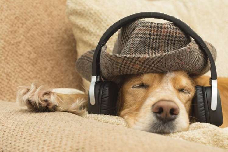 Radio Tan Germany